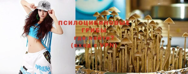 СК Абаза