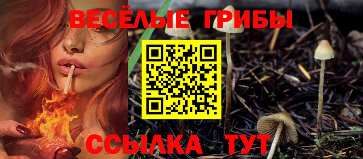 Псилоцибиновые грибы прущие грибы  Вход с VPN  Отрадный 