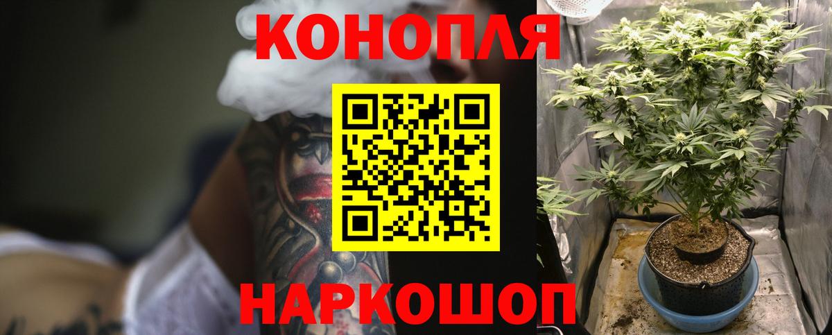 Бошки марихуана ГИДРОПОН  Канабис White Widow  Бошки Шишки SATIVA & INDICA  Вход с VPN  Отрадный 